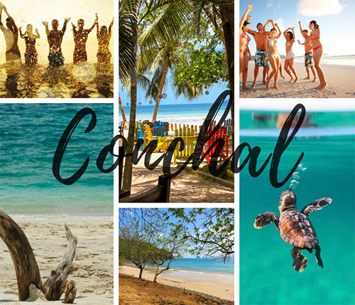 Alajuela to Conchal - Private Transportation