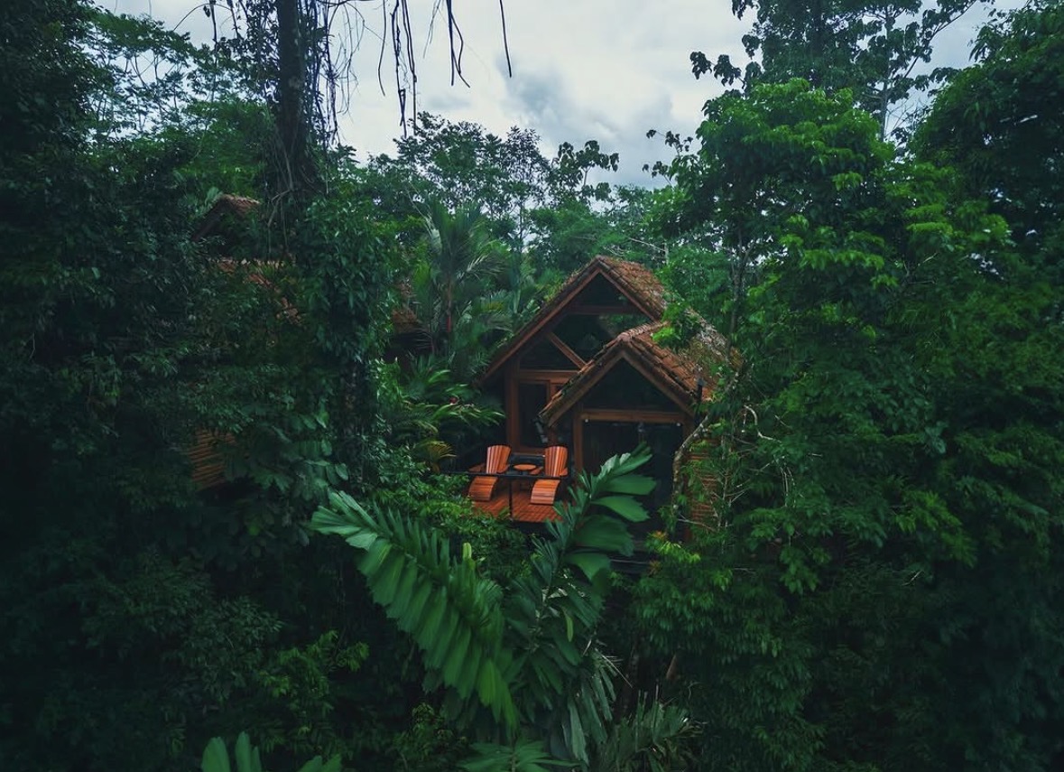 Amor Arenal - Image 1