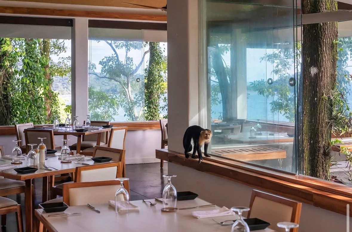 Arenas Del Mar Beachfront and Rainforest Resort