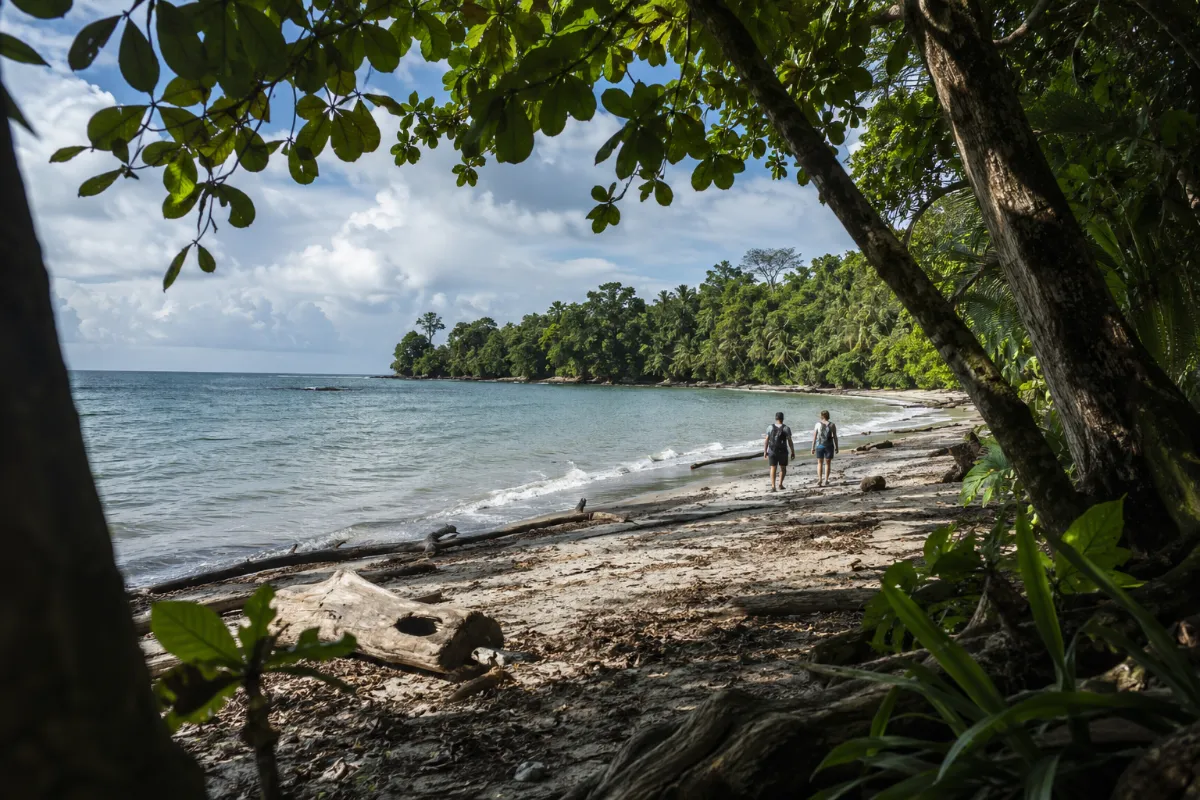 Best Beaches in Cahuita
