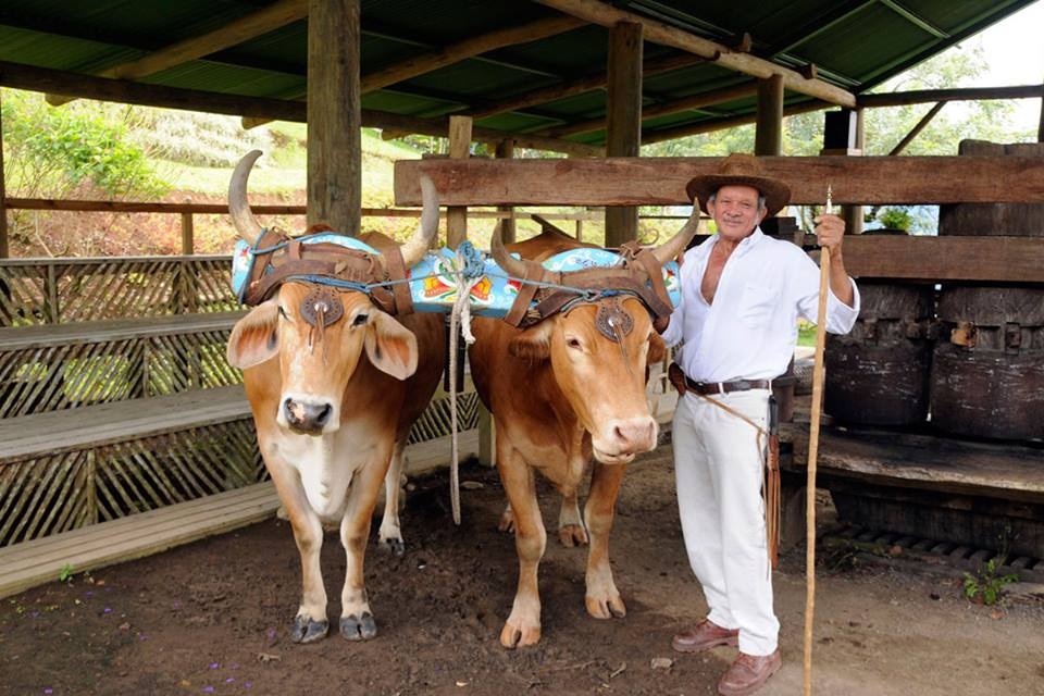 Costa Rica First-Time Visitor Guide