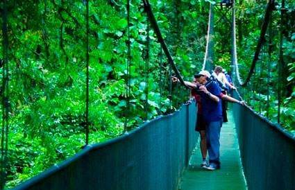 Costa Rica National Parks Guide