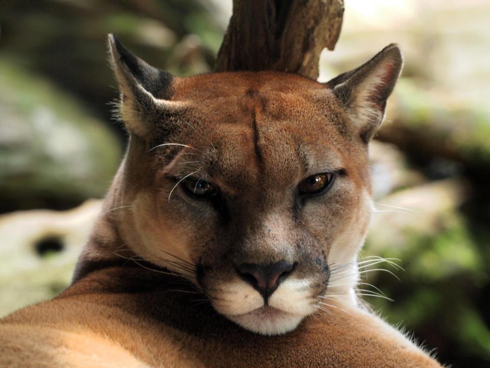 Costa Rica Travel Guide