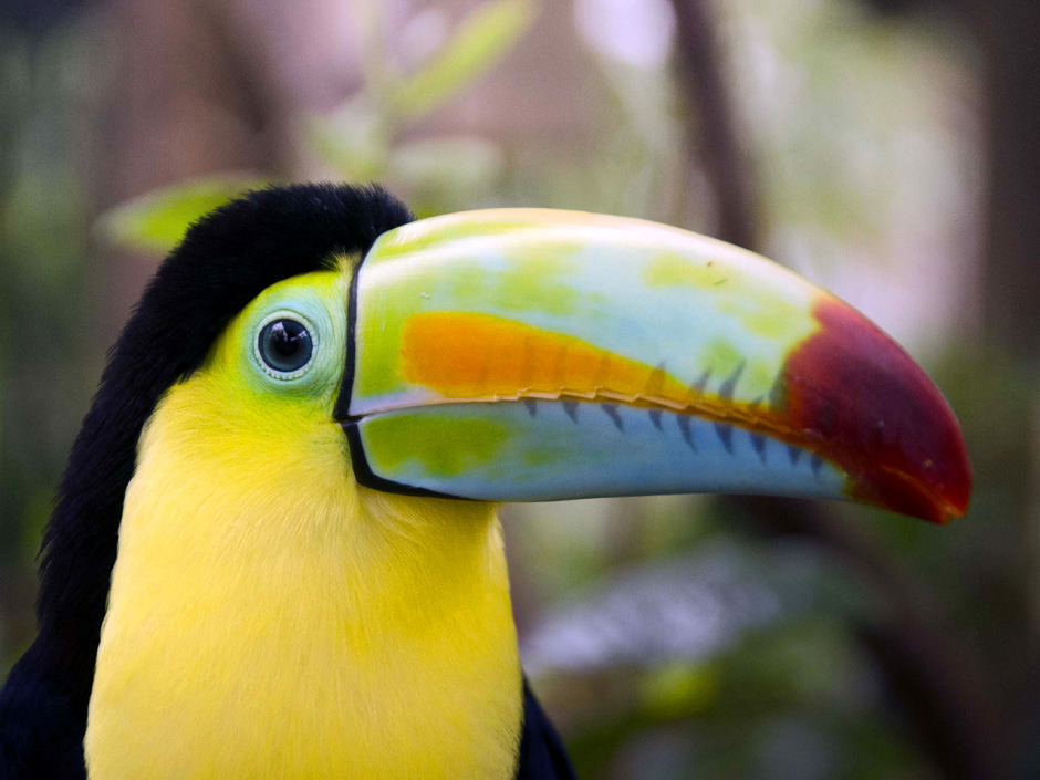 Costa Rica’s hotel development pipeline for 2026 and 2027