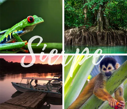 Fiesta Resort Puntarenas to Sierpe - Private Transport Service