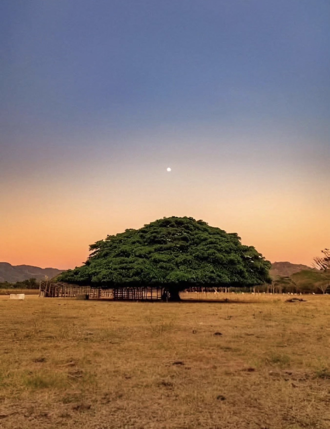 How to get to Liberia