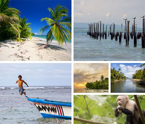 JW Marriott Costa Rica to Cahuita - Shared Shuttle