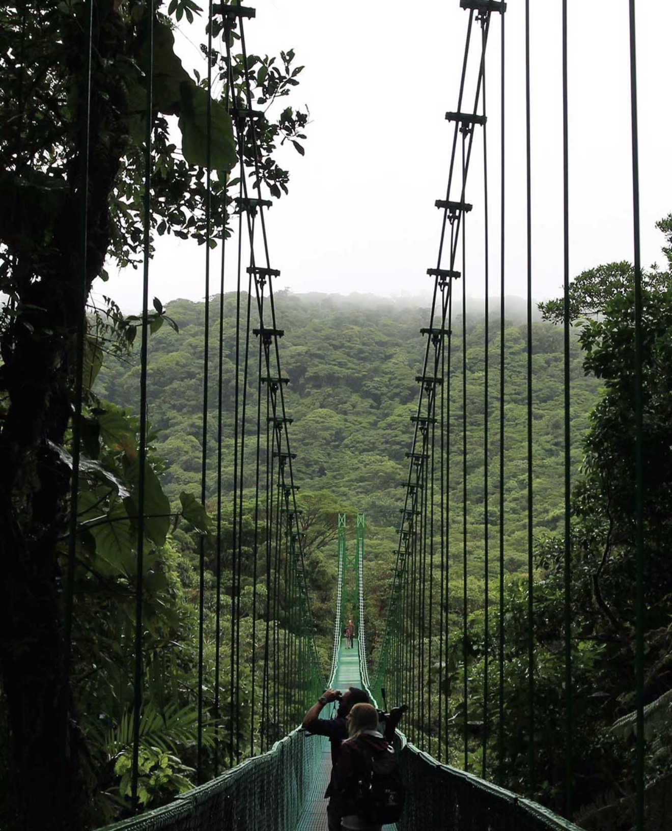 Monteverde Cloud Forest Reserve