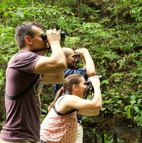 Monteverde to Alajuela - Shared Shuttle - Image 1