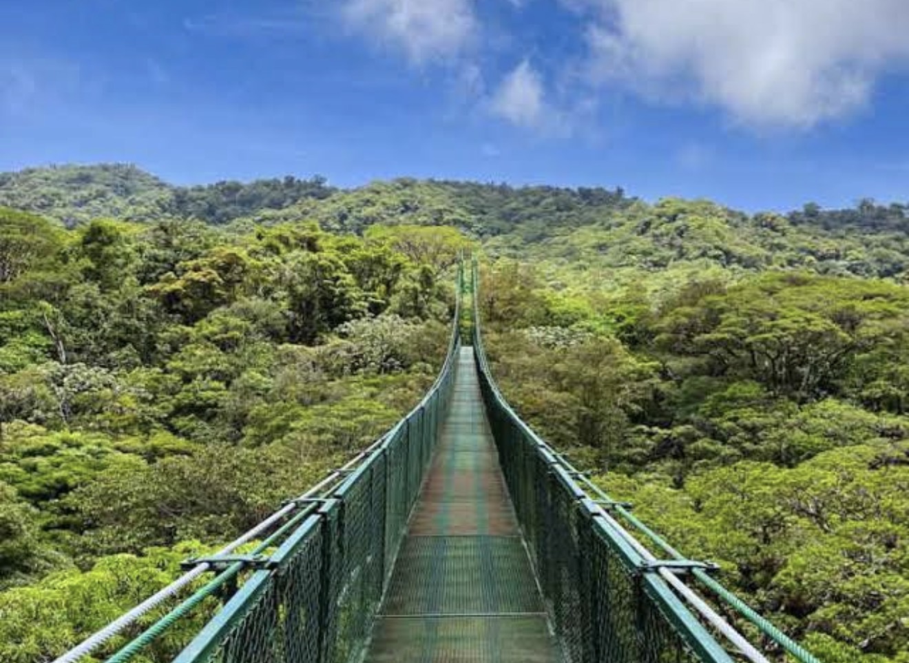 Monteverde Travel Guide