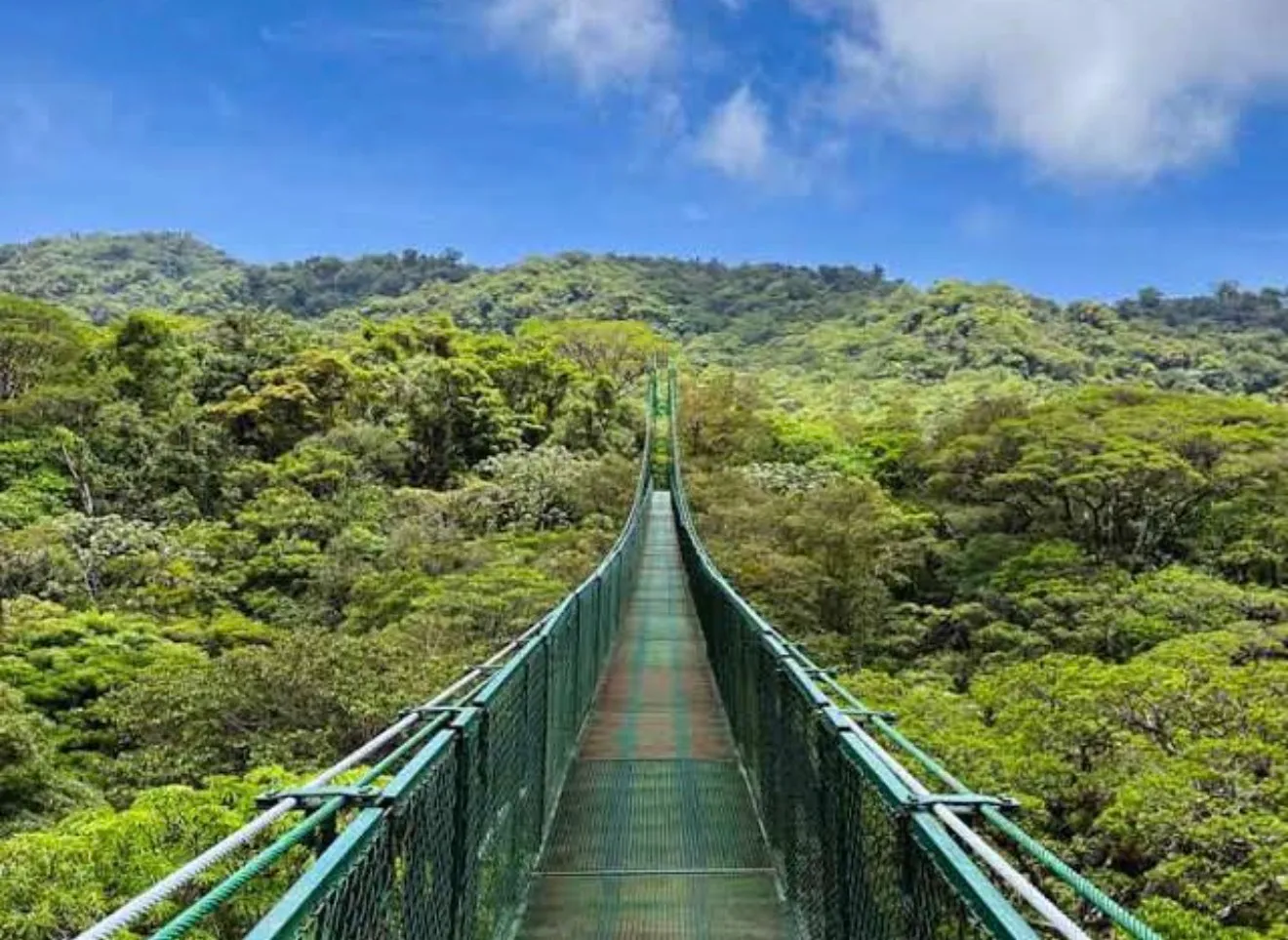 Monteverde Travel Guide