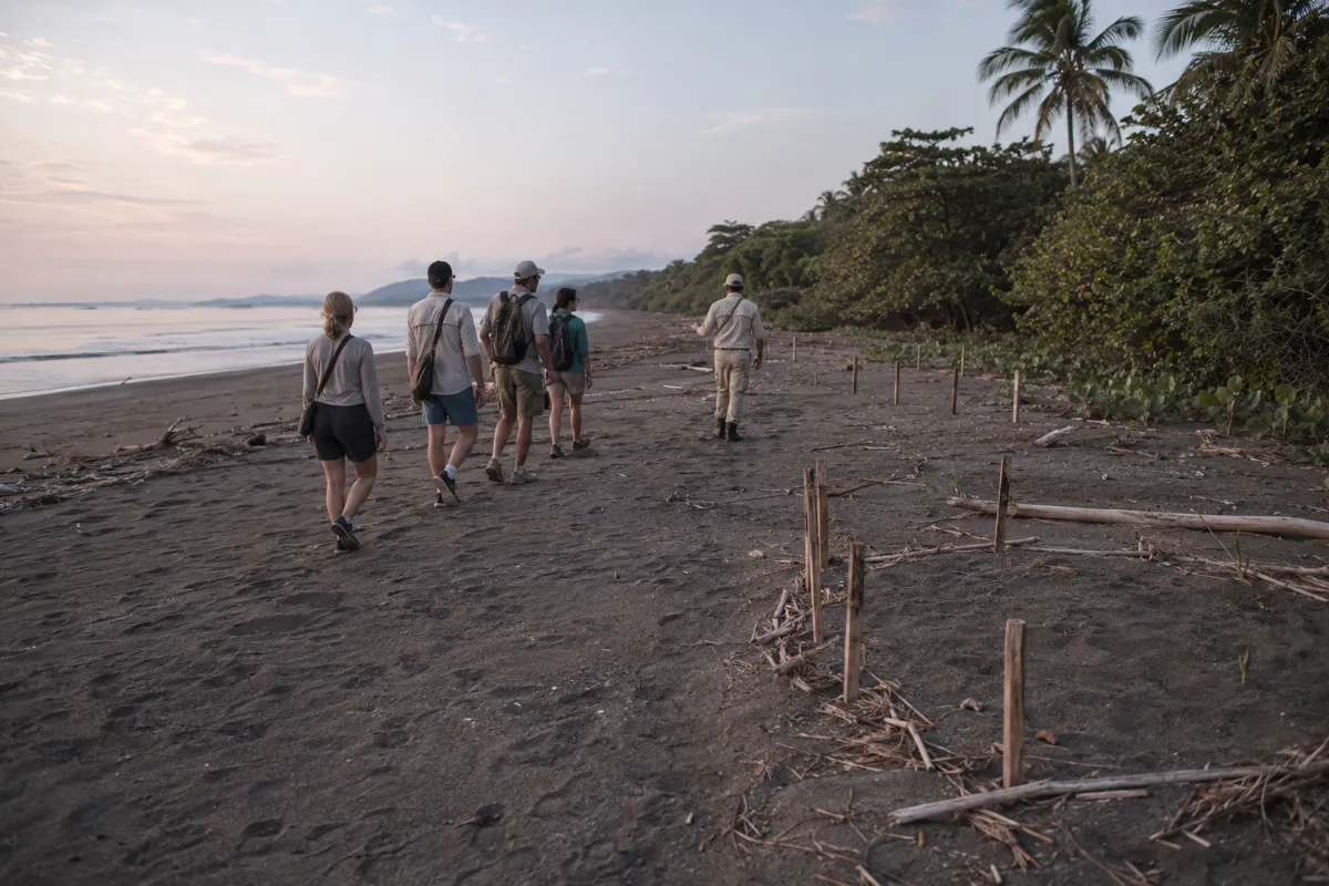 Nosara Wildlife and Conservation Guide