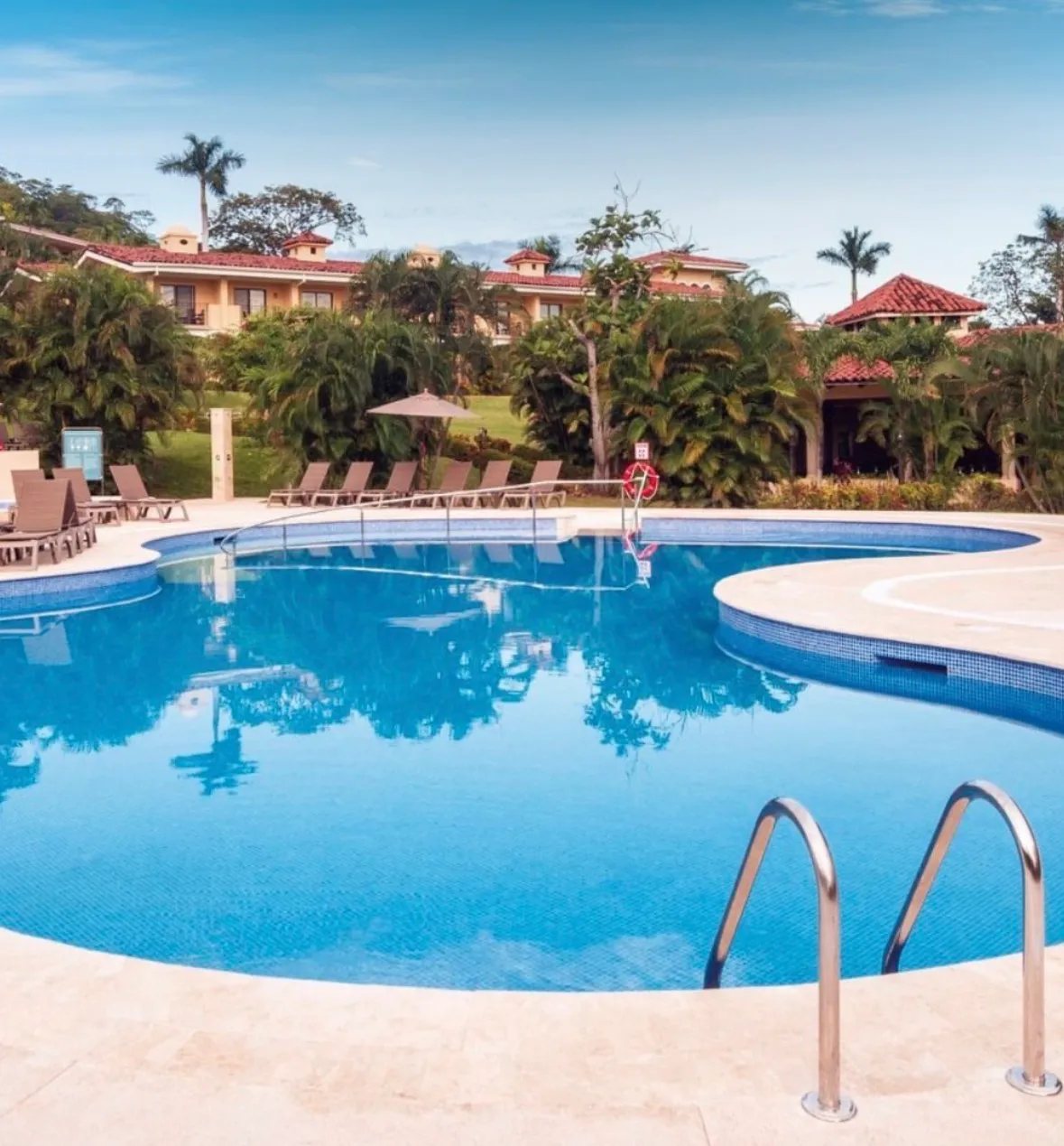 Occidental Papagayo - Image 1