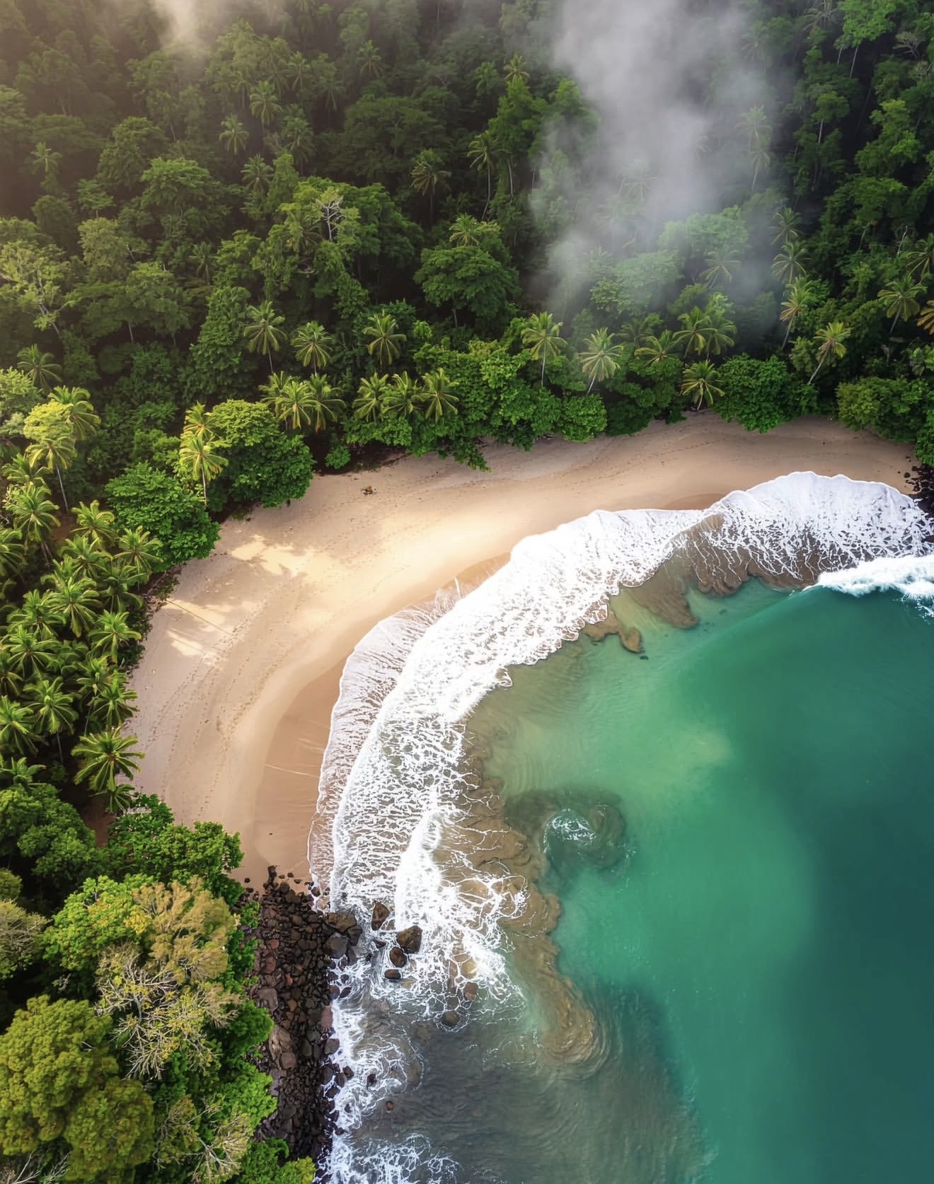 Puerto Viejo Caribbean Guide