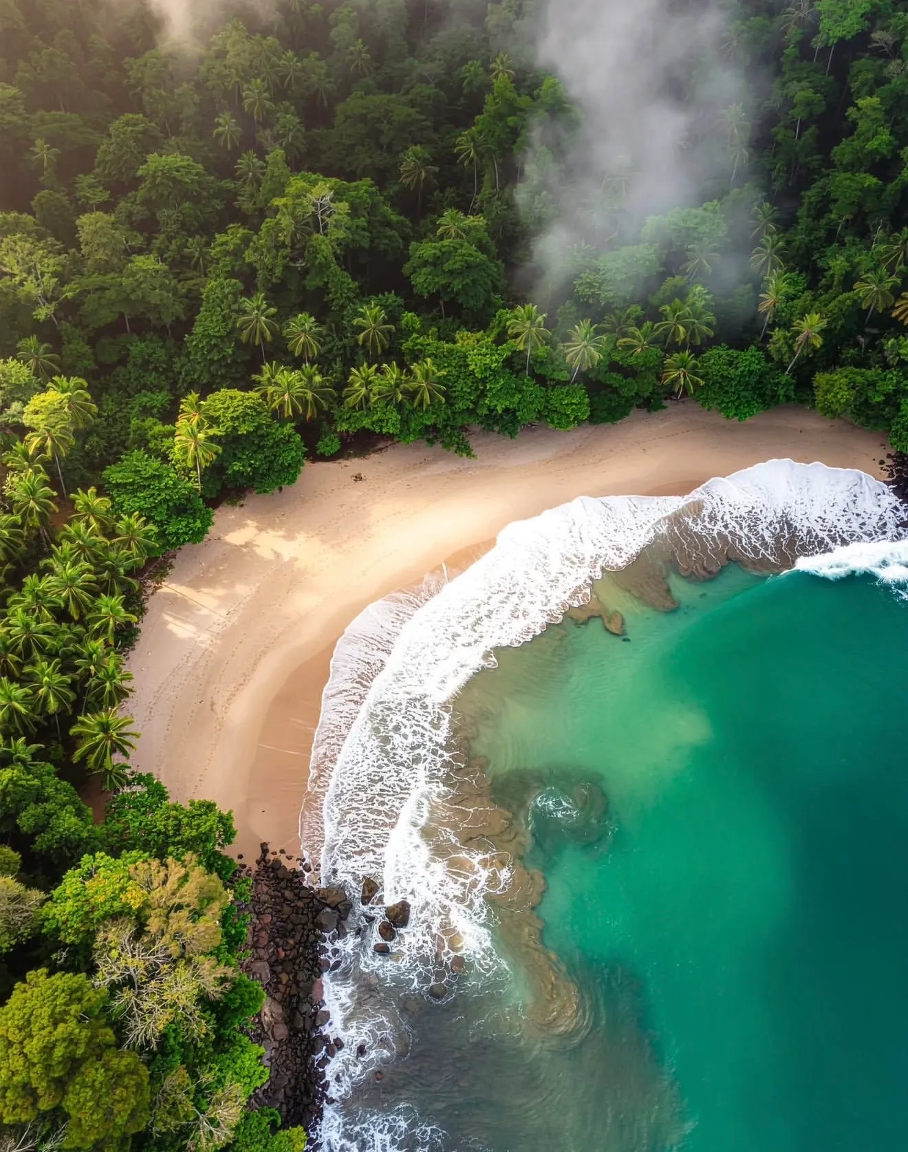 Puerto Viejo Caribbean Guide