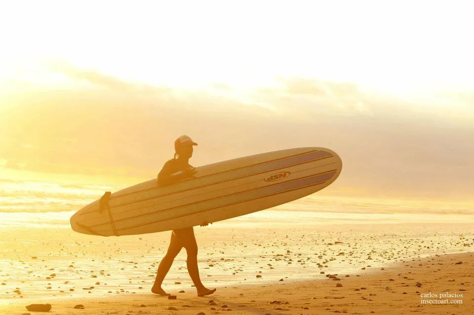 Santa Teresa Beach Travel Guide