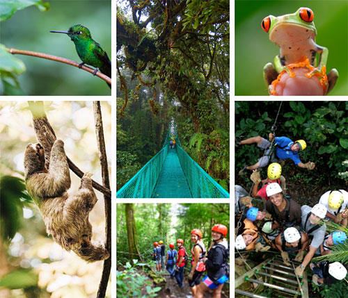 Santa Teresa to Monteverde - Shared Shuttle - Image 1