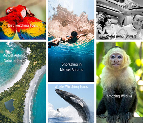Shared Shuttle Service from Brasilito to Manuel Antonio - Image 1