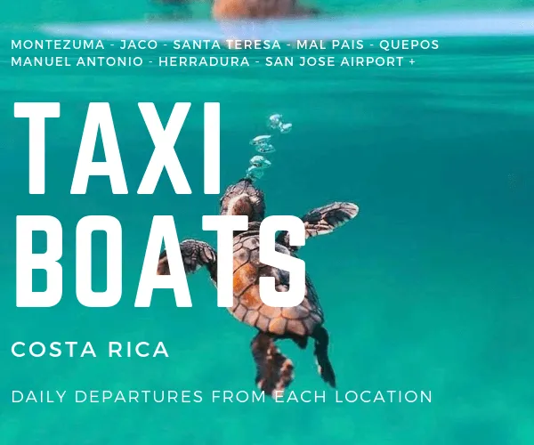 Taxi Boat from Manuel Antonio to Playa Hermosa Santa Teresa - Image 1