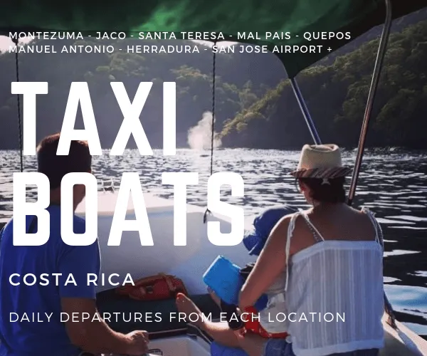 Taxi Boat from Manuel Antonio to Santa Teresa - Image 1