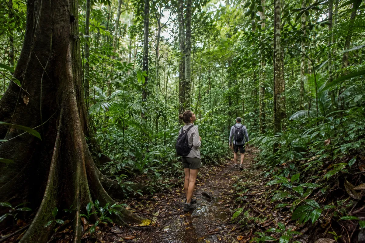 Things to Do in Golfito Costa Rica